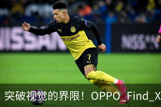 突破视觉的界限！OPPO Find X10 Pro Max震撼来袭